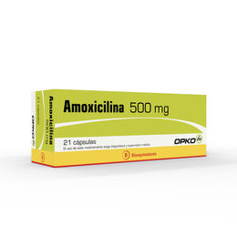 Precio de amoxil 500